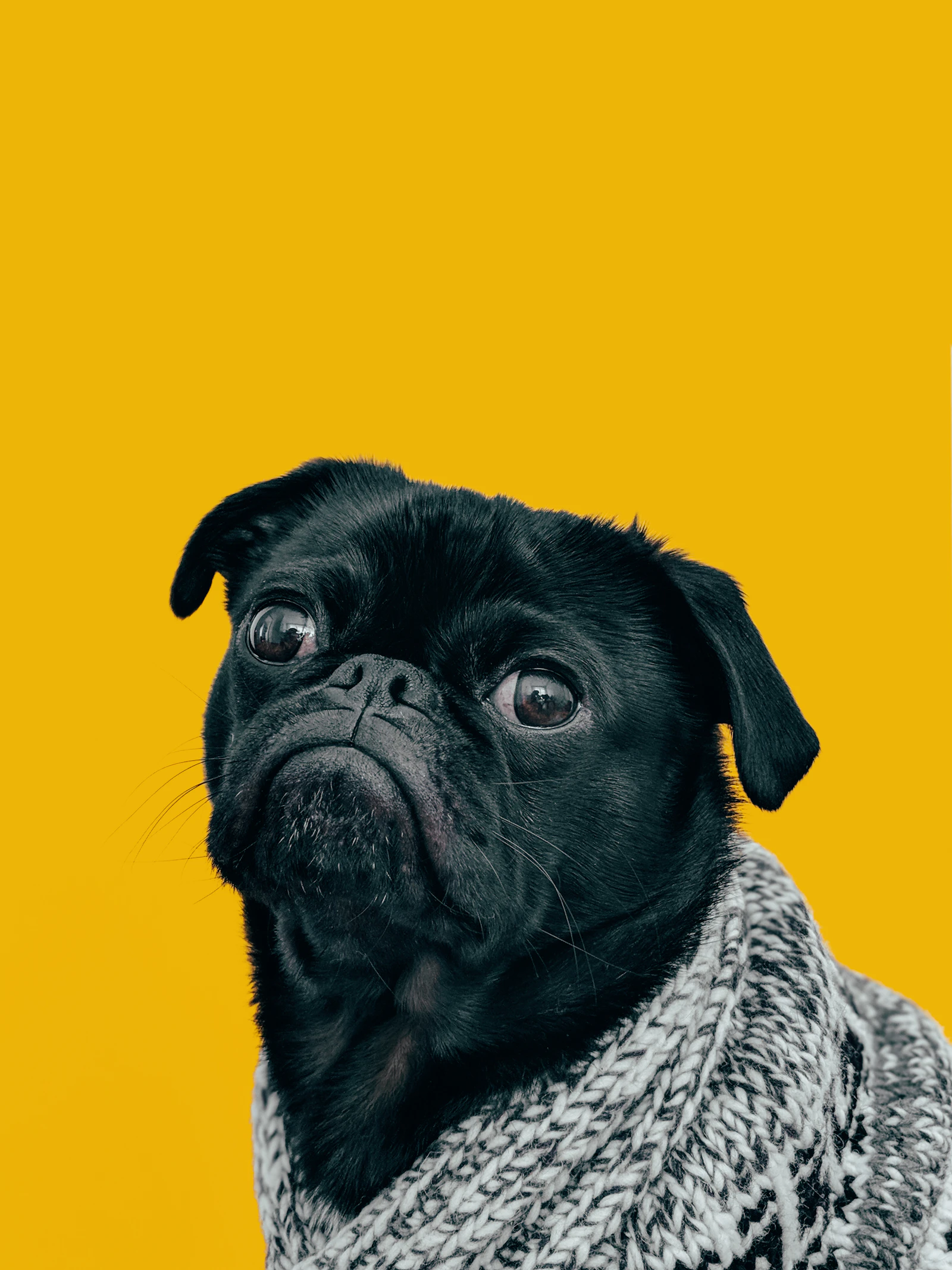 Comfort comes first.
